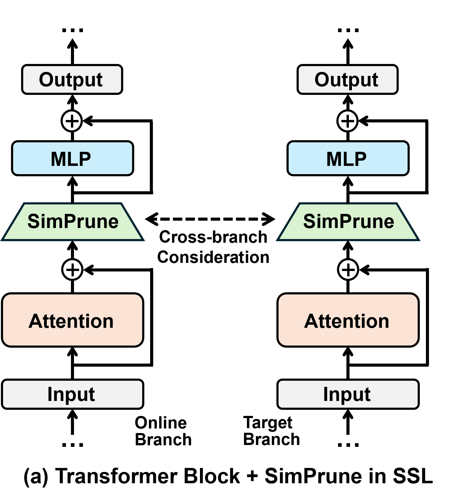 SimPrune inserted into Transformer blocks in the online and target SSL branches.